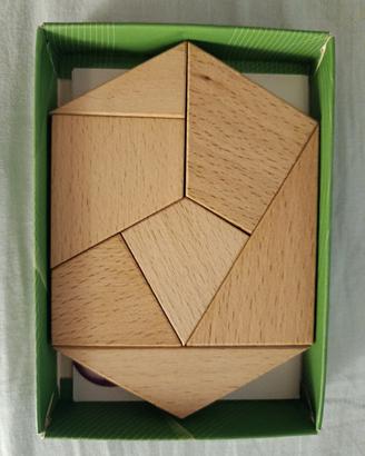 giochi di intelligenza in legno 
