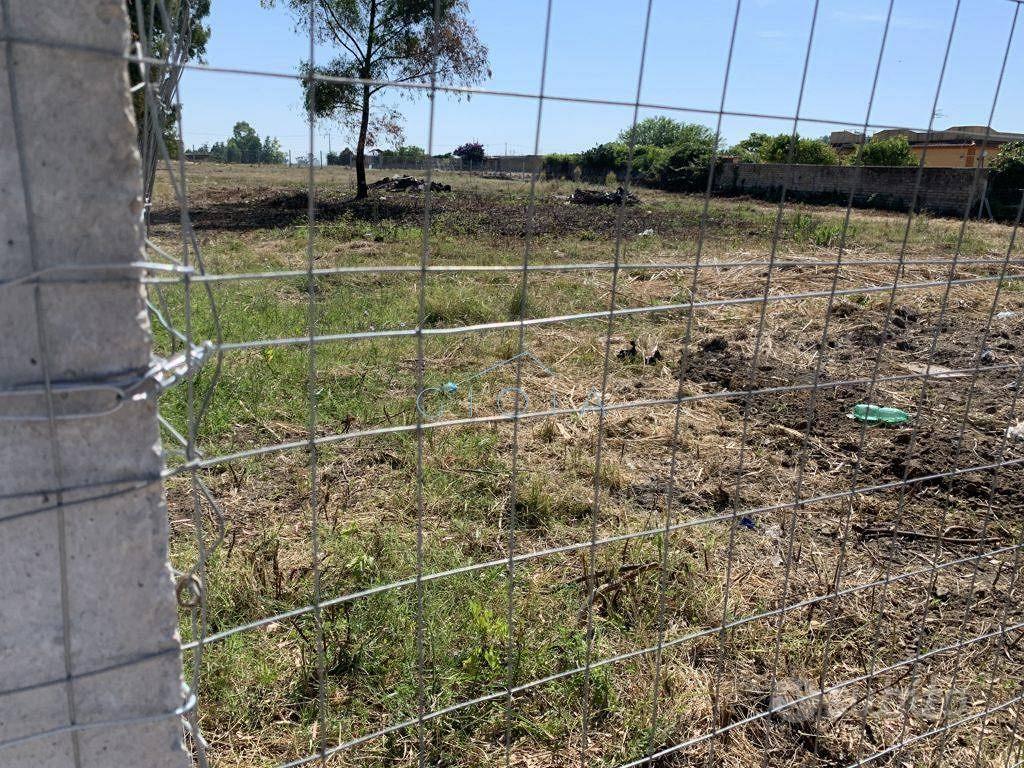 Terreno di 2500 m² a Mondragone - Vista 3