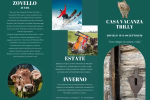 casa Trilly 