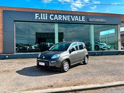 FIAT Panda 3ª serie Panda 1.0 FireFly S&S Hybrid