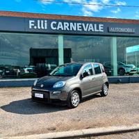 FIAT Panda 3ª serie Panda 1.0 FireFly S&S Hybrid