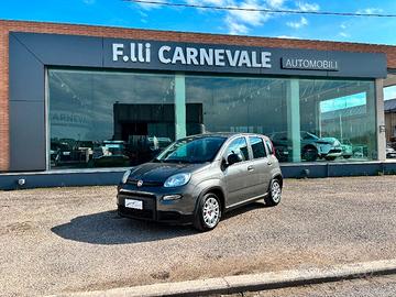 FIAT Panda 3ª serie Panda 1.0 FireFly S&S Hybrid