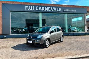 FIAT Panda 3ª serie Panda 1.0 FireFly S&S Hybrid