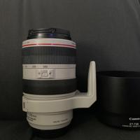 CANON EF 70-300 mm f/ 4,5-5,6 L IS USM