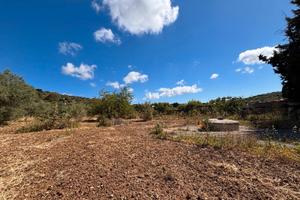 Terreno 5.000 mq