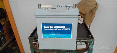 Batteria marca Faal poli piccoli 