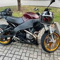 Buell xb 12s