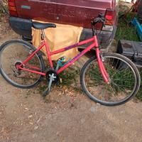 bicicletta da donna legnano MTB 26 pollici 