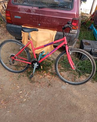 bicicletta da donna legnano MTB 26 pollici 