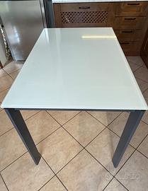 Tavolo in vetro 70x110