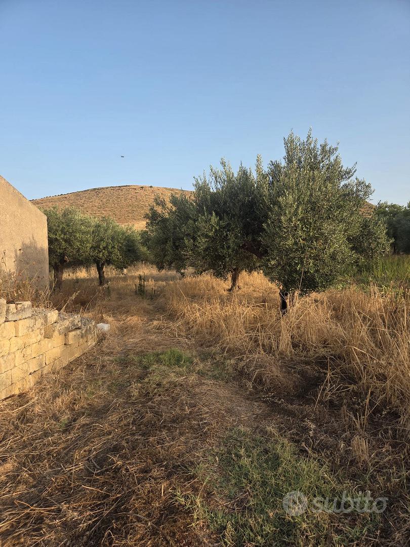 terreno agricolo - Vista 4