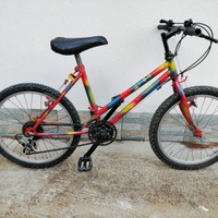 Bici mtb 20