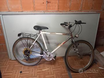 mountbike uomo