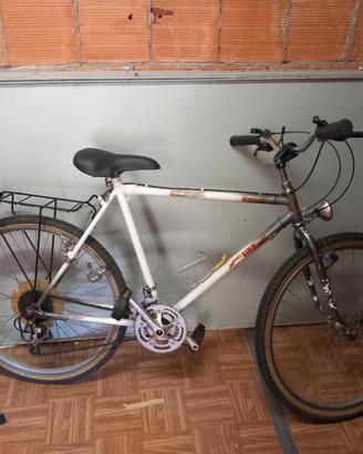mountbike uomo