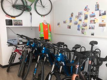 Attività di noleggio bici centro città