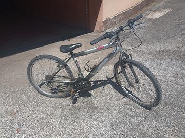 Mountain Bike  modello Dune
