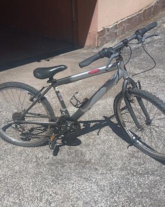 Mountain Bike  modello Dune