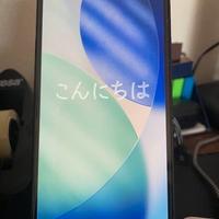 Perfetto e unico proprietario