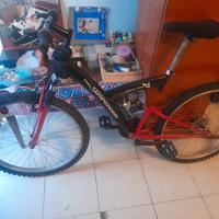 mountain-bike ammortizzatore doppio 