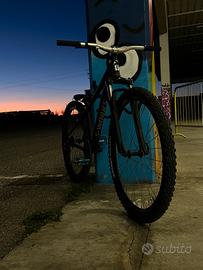 Bici da dirt/Skatepark