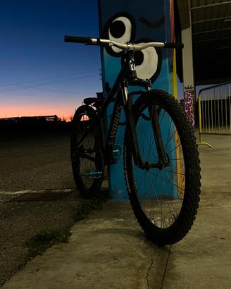 Bici da dirt/Skatepark
