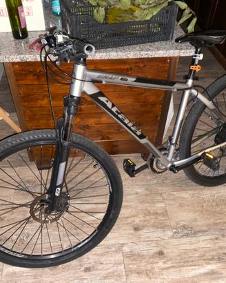Atala 29