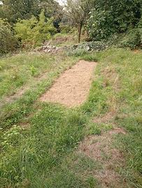 terreno