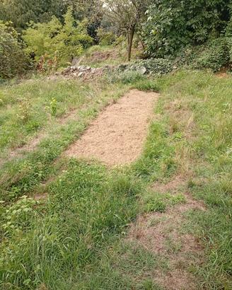 terreno