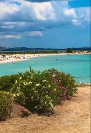 Olbia La casetta con giardino ideale per coppia