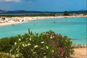 Olbia La casetta con giardino ideale per coppia