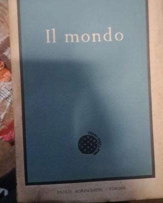 IL MONDO