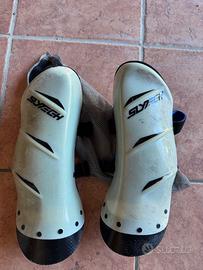 Parastinchi sci slytech