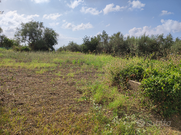 Terreno agricolo pianeggiante