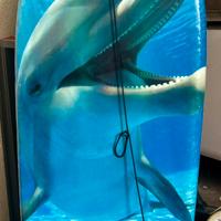 Tavola mare  con delfini