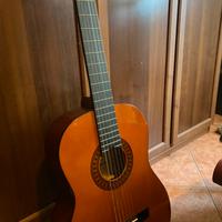 Chitarra stagg