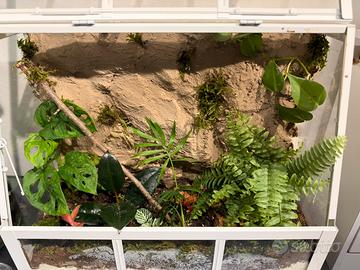 Terrarium
