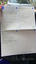 Renault clio le iene