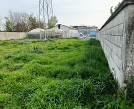 Terreno Agricolo