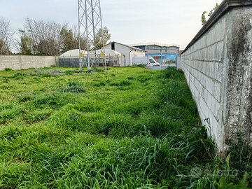 Terreno Agricolo