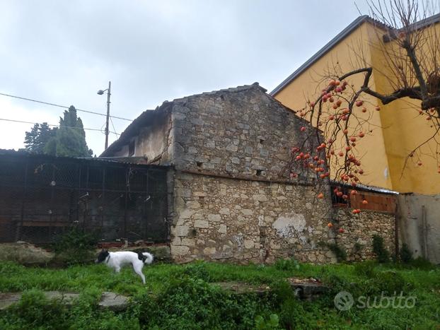 Terreno in centro storico a Carolei