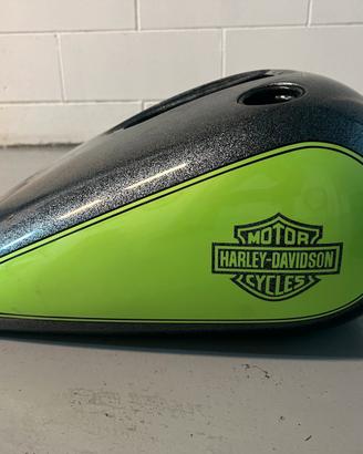 Carrozzeria completa Harley Davidson Dyna