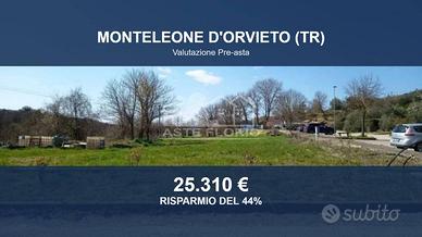 Immobile in asta di 2930 m² a Monteleone d'Orvieto