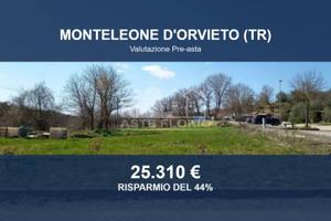 Immobile in asta di 2930 m² a Monteleone d'Orvieto