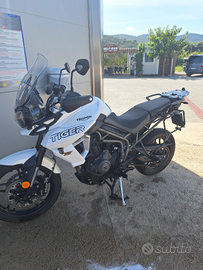 Triumph Tiger 800 XRX 2019 tris valigie alluminio