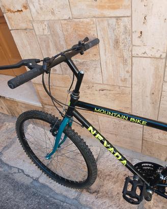 bici da 26 pollici