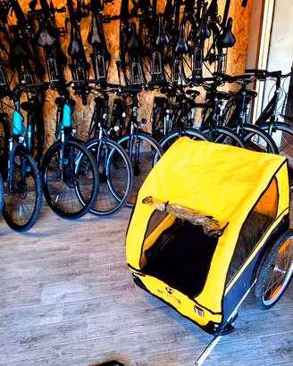 Carrellino Bici Bambini e animali