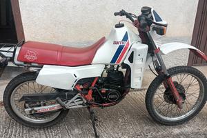 Fantic Raider 125