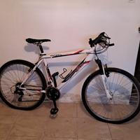  mountain bike da uomo