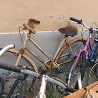 Bici donna