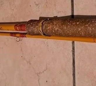 Canna da pesca e mulinello Diplomat Alcedo